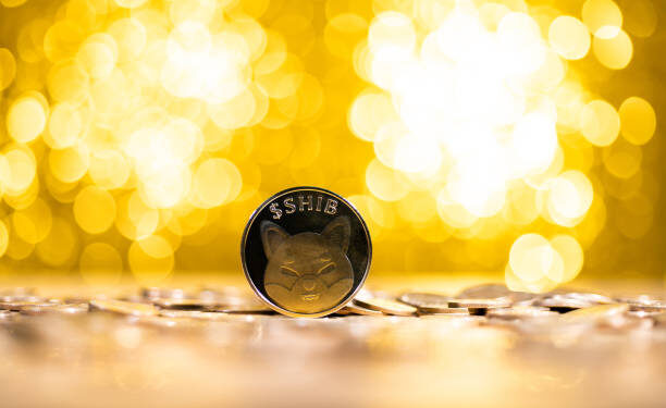 Shiba Inu’s Shibarium Is More Than A Layer 2, Expert Reveals What It Is