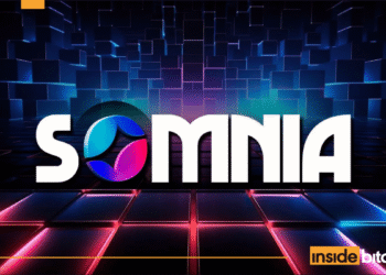 NFT Marketplace Rarible Adds Support For Somnia NFTs