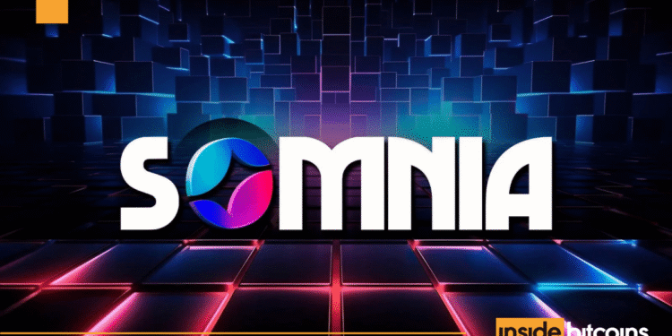 NFT Marketplace Rarible Adds Support For Somnia NFTs