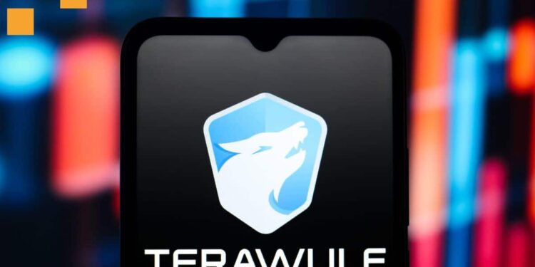 Google Boosts Stake In TeraWulf To 14%, Shares Hit 1-Year High