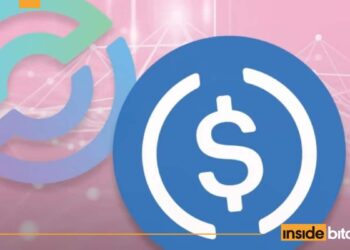 Number Of Salaries Paid In Crypto Triples, USDC Leads