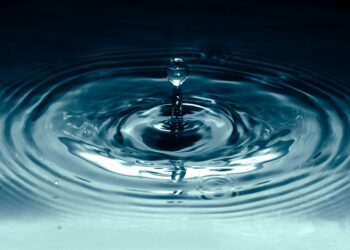 Ripple CTO Jumps Into The Fray After Caitlin Long Bashes XRP With Centralization Claims