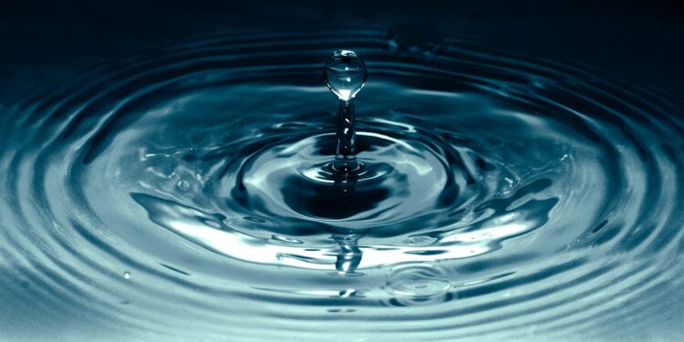 Ripple CTO Jumps Into The Fray After Caitlin Long Bashes XRP With Centralization Claims