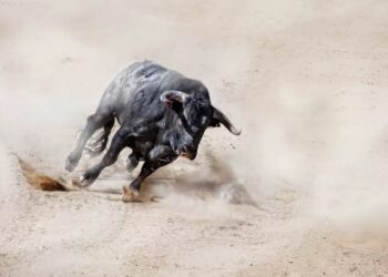 XRP Gains Momentum As Analyst Calls It The Smartest Crypto To Buy