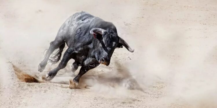 XRP Gains Momentum As Analyst Calls It The Smartest Crypto To Buy