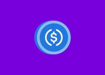 USDC Emerges as Top Pick in Booming Crypto Payroll Trend