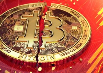 Warning: Expert Assesses Bitcoin Might Experience an Argentine Split