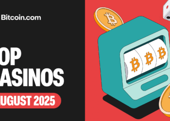 Top Bitcoin Casinos for Beginners [August 2025]