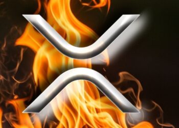 Ripple CEO Endorses XRP Card With Fire—Says ‘What a Time to Be Alive, XRP Family’