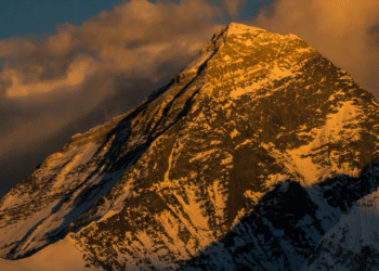 Peaks and Pitfalls: Top 10 Crypto Assets Split Between Fresh Highs and Old Lows