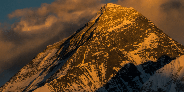 Peaks and Pitfalls: Top 10 Crypto Assets Split Between Fresh Highs and Old Lows