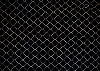 Chainlink Whales Scoop Up $150 Million LINK In Two Weeks – More Gains Ahead?