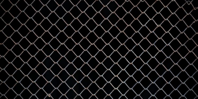 Chainlink Whales Scoop Up $150 Million LINK In Two Weeks – More Gains Ahead?