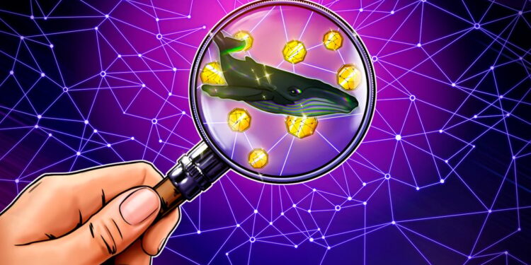 Whale Surpasses James Wynn’s Losses on Hyperliquid: Finance Redefined