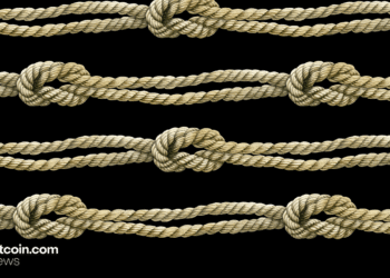 From Peak to Plunge: Bitcoin Knots Loses Nearly a Third of Its Nodes Since Sept. 14