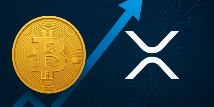 Nowa fala adopcji krypto. Co przyniesie IV kwartał 2025? 