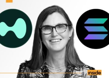 Ark Invest CEO Cathie Wood Likens Hyperliquid To Early Solana