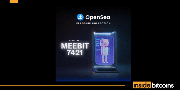 OpenSea Adds Meebits #7421 Into Its NFT Reserve