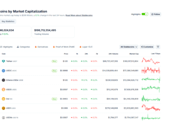 Will Hyperliquid USDH End Circle and USDC? CIRCL Stock Plummets