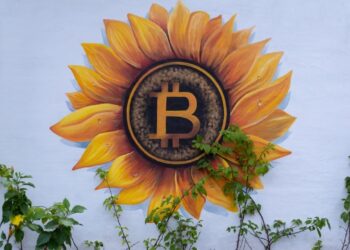 Blockchain Sleuth Points out El Salvador Might Be ‘Recycling Bitcoin’