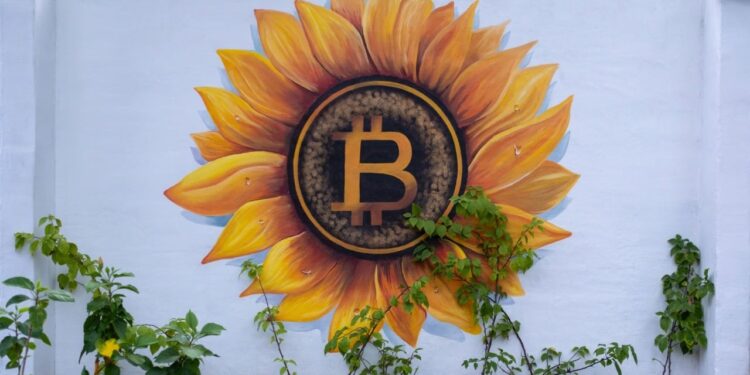 Blockchain Sleuth Points out El Salvador Might Be ‘Recycling Bitcoin’