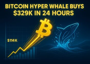 Bitcoin Reclaims $114K as Bulls Dominate & Whale Buys $329K Bitcoin Hyper in a Day