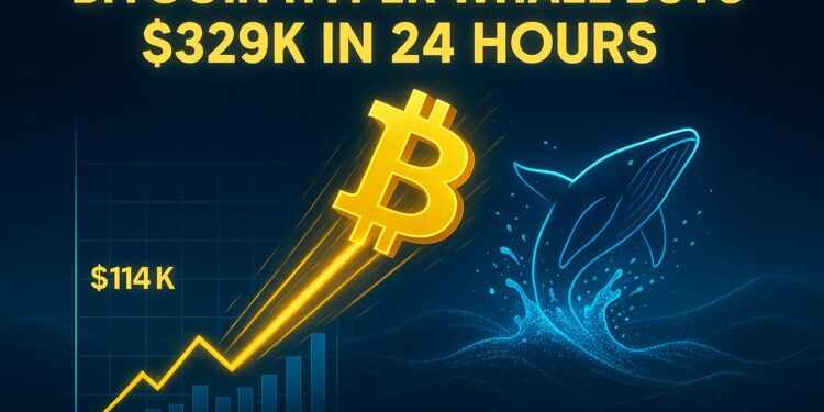 Bitcoin Reclaims $114K as Bulls Dominate & Whale Buys $329K Bitcoin Hyper in a Day