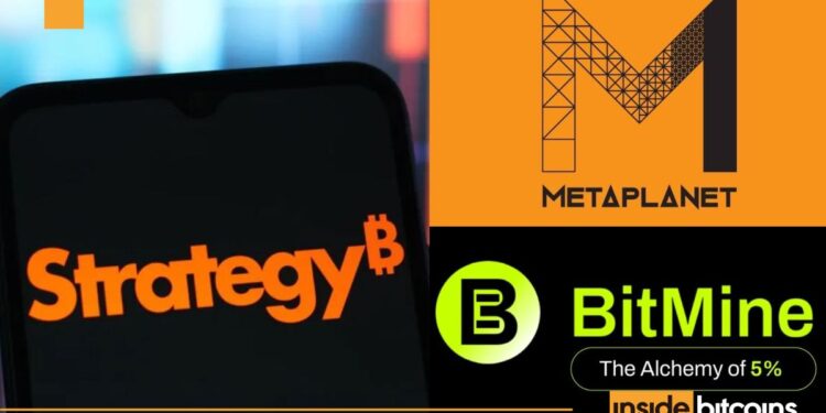 ‘Bumpy Ride Ahead’ For Crypto Treasury Firms As Shares Plunge
