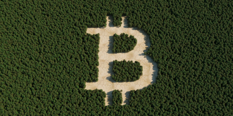 Bitcoin Negative Divergence Hints At Imminent Selling Pressure—Is ‘Uptober’ Under Threat?
