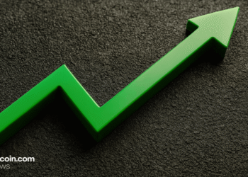 Stablecoin Sector Smashes Past the $290 Billion Milestone