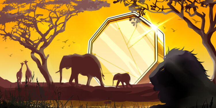 South Africans Can Now Pay With Crypto at 650,000 Stores