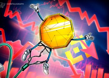 Why Did Some Altcoins on Binance Crash to Zero?