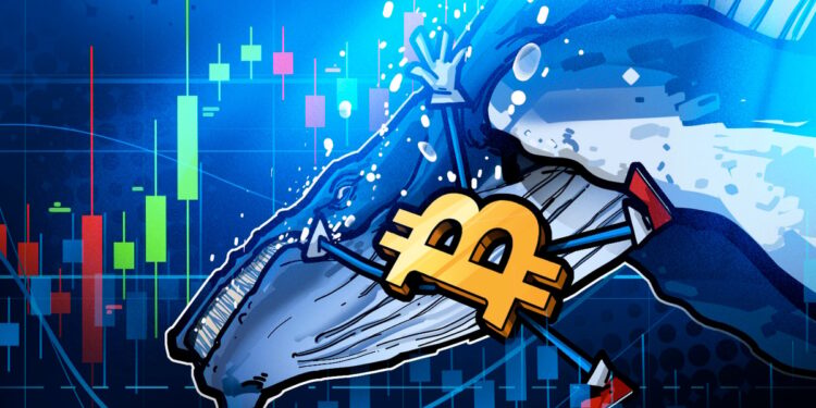 $11B Bitcoin Whale Shorts Bitcoin for $235M, Nets $200M In Market Crash