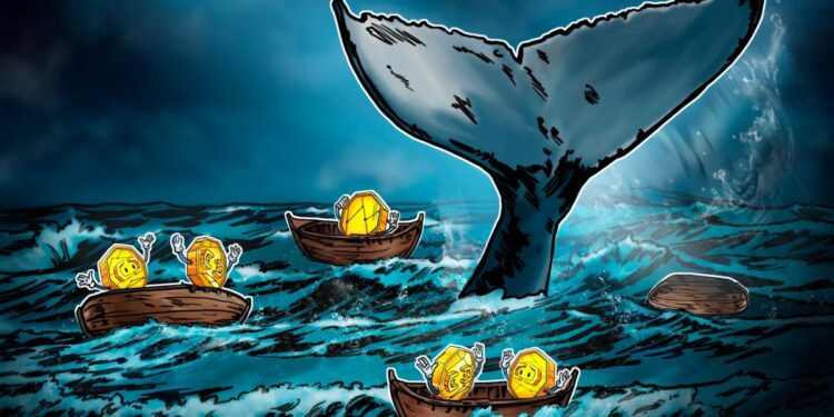 Do Bitcoin Whales Really Control Market Ups and Downs?