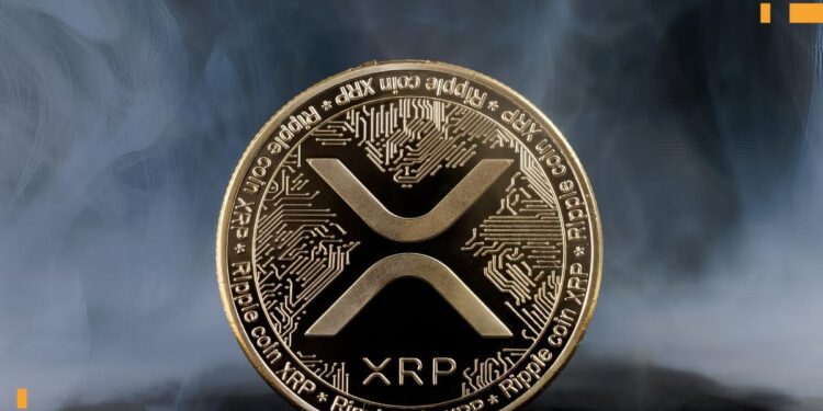 XRP Price Drops 6% As Whales Flee Amid Market Crash
