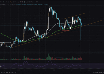 DOGE Price Breaks Key Support: Is Alt Run No More?