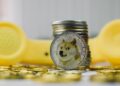 Dogecoin Price Macro Target Remains Above $2, And The Market Crash Hasn’t Changed It