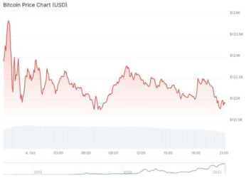 Stimmy Inbound: Will Trump Tariff Dividend Skyrocket Crypto in Q4?