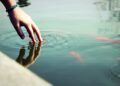 Is Ripple Tapping Into A $12 Trillion Industry? Pundit Breaks Down US Repo Market