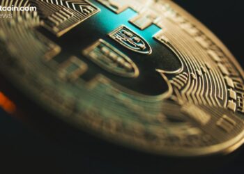 Bitcoin Sees Historic Institutional Uptake With 40% Rise in Public Company Holders