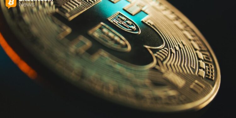 Bitcoin Sees Historic Institutional Uptake With 40% Rise in Public Company Holders