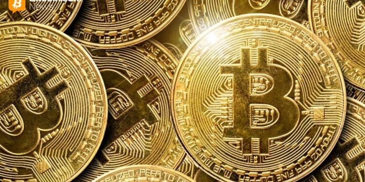 Newsmax Pushes Into Crypto Reserves With Bold Bitcoin and Trump Coin Strategy