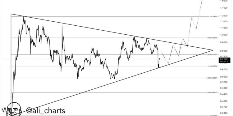 Cardano Price Prediction: ADA Faces New Competition In this Rival Altcoin