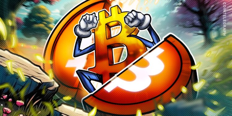 13 Years Since Bitcoin’s First Halving: Mining In 2025