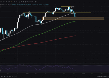 Bitcoin Price Drops Below $90,000: Where Are The Bulls?