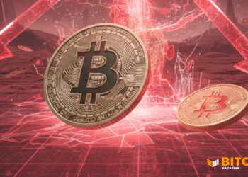 Bitcoin Price Crashes To $102,000 As Crypto Reverses Gains