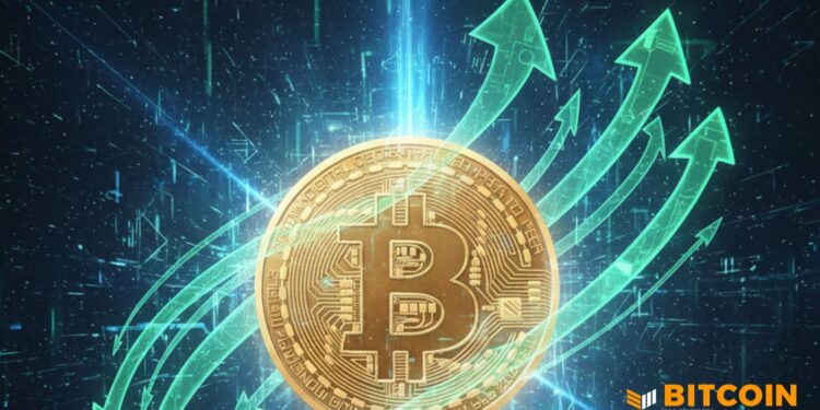 Bitcoin Price Hovers Near $100,000 As Market Awaits Moves