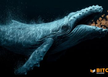 Bitcoin Whales Are Buying During Price Crash: VanEck