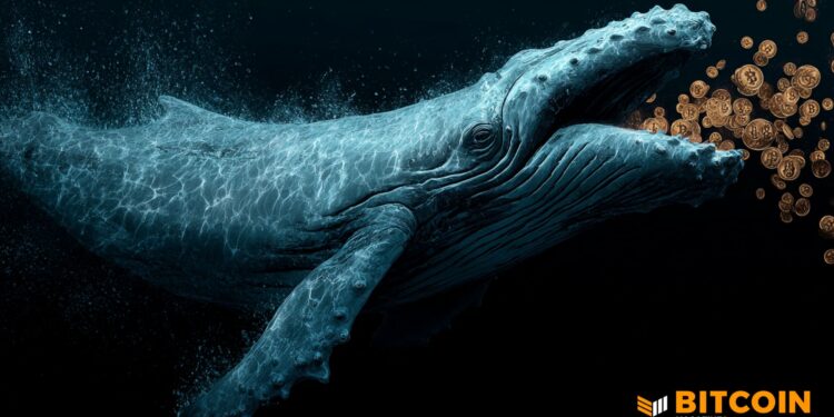 Bitcoin Whales Are Buying During Price Crash: VanEck