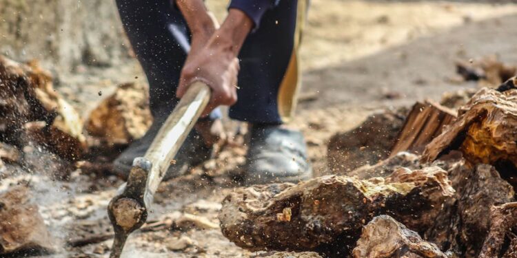 Bitcoin Miners Struggle As Hashprice Collapses